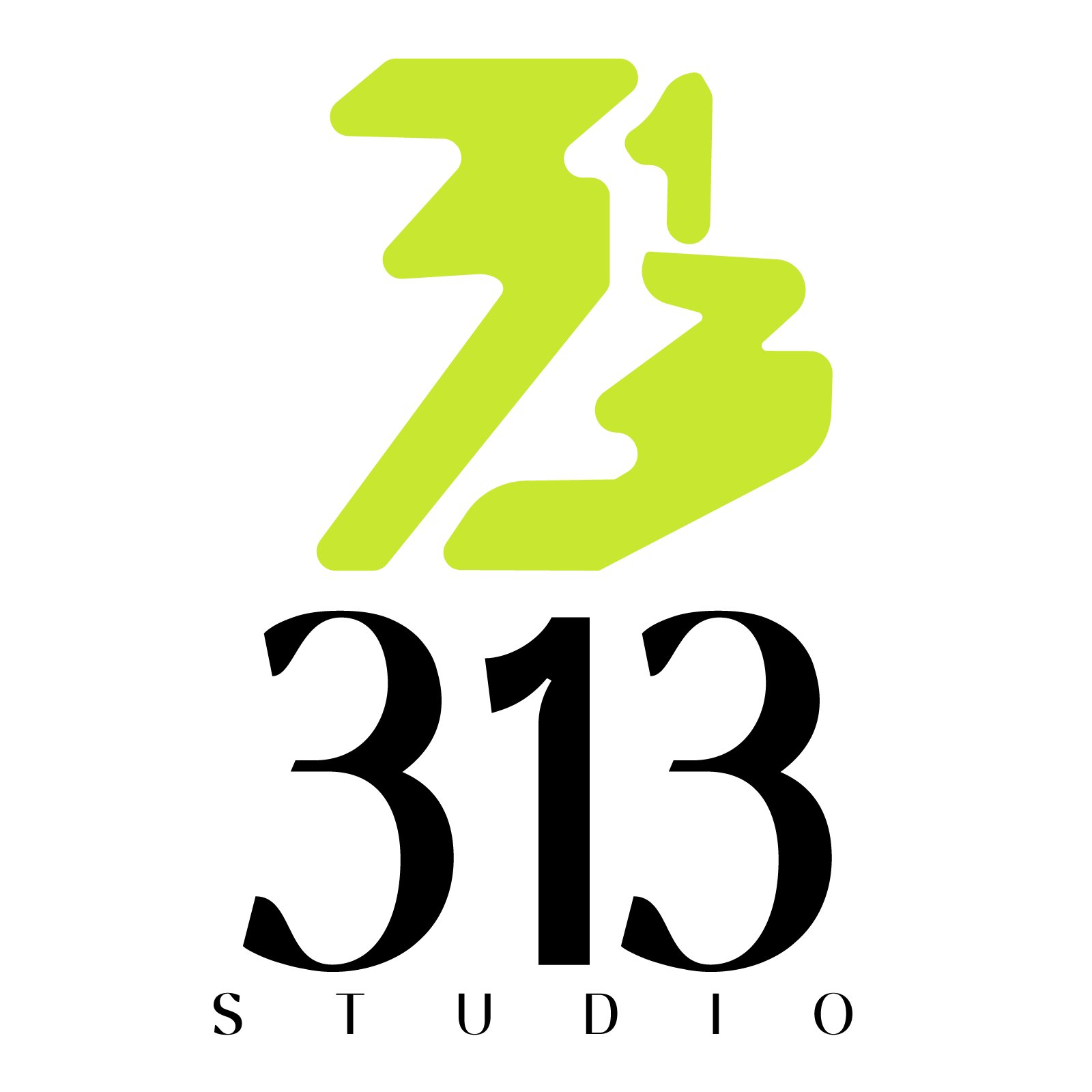 313 Studio