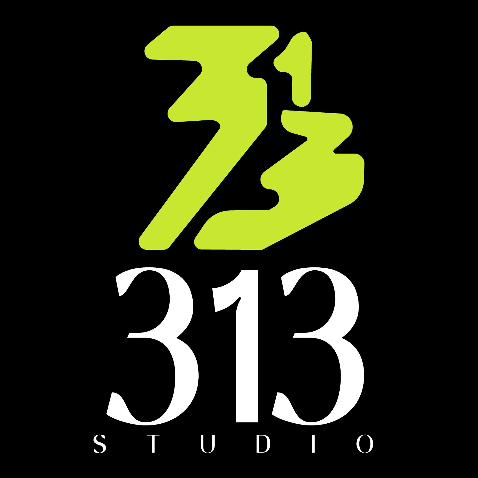313 Studio
